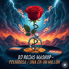 Peligrosa X Una en un millón - Dj Rojas I Mashup