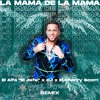 La Mamá de la Mamá (Raúl ortega REMIX)