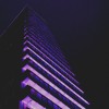 Want (Download)