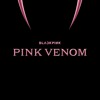 BLACKPINK - Pink Venom (BUNNY "Nu Metal" Remix)