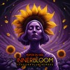 Rüfüs Du Sol - Innerbloom (Pandora Plur Remix)