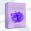 🟣 Particles 🟣 Samplepack (Trap Melody Loops)