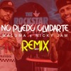NO PUEDO OLVIDARTE REMIX