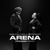 Arena