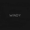 I Like It - Windy Remix