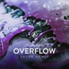 Overflow (Saluk Remix)