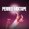 PERREO MIXTAPE MALEANTEO VIP VOL.1 (97 EDITS)