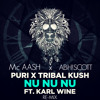 Puri nu nu nu (Mc Aash x ABH!SCOTT)
