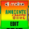 J. Balvin - Ambiente (Dj Molina EDIT 2018)