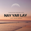 Chan Myae Maung Cho - Nay Yar Lay REMIX