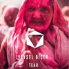 Veysel Biçer - Tear(Orginal Mix)