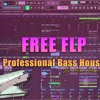 FREE FLP PROFESSIONAL BASS HOUSE BY MIKE DOPE