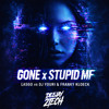 Gone X Stupid MF (Deejay 2 TECH Mashups)