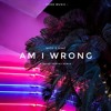 Am I Wrong Remix [FREE]