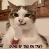 mời ae cùng dj thái hoàng