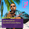 Jay Z - I Just Wanna Perrear (Caribbean Mashup)