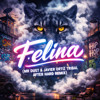 B.M - Felina (Mr. Dust & Javier Remix)