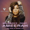 Wildboyz ft Ameerah- The Sound Of Missing You 20