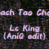 Cach Tao Choi