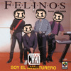 Los Felinos - Yo Quiero Quebrarte (Chan Flip)