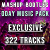 0Day Mashup, Bootleg +Bonus Vol.36 - 322 Tracks