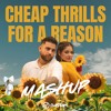 Cheap Thrills x For A Reason - Dastan Mashup
