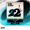 Lily Allen - 22 (HUNICH Festival Mix)
