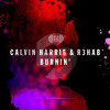 We Wanna a Burnin' Party (Gam's Mashup)
