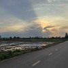 trai tim