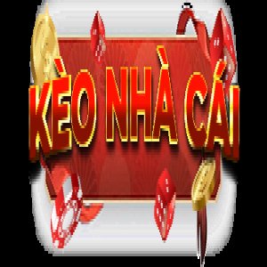 user's profile picture