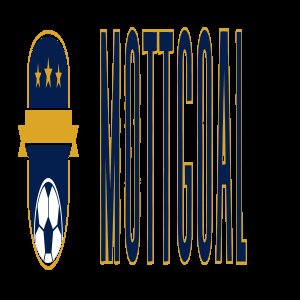 user's profile picture