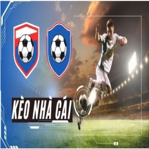 user's profile picture