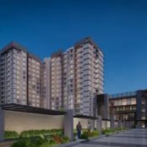 Purva Northern Lights