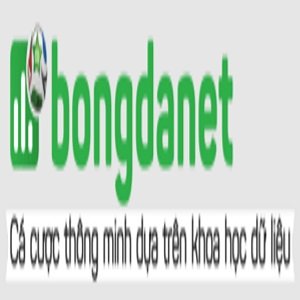 Bongda net