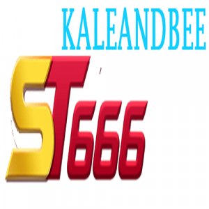 user's profile picture