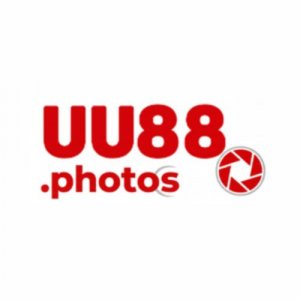 user's profile picture