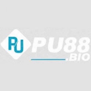 user's profile picture