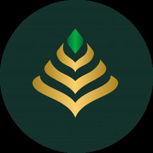 user's profile picture