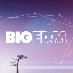 The Biggest EDM Sounds - Main Ch 