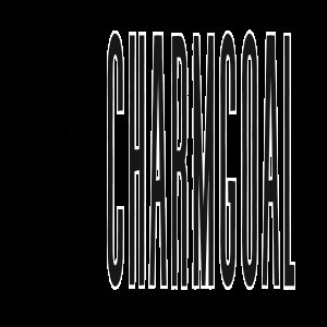 user's profile picture