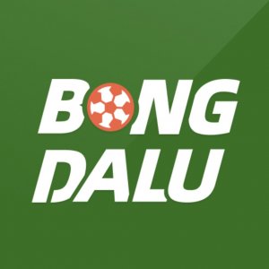 user's profile picture