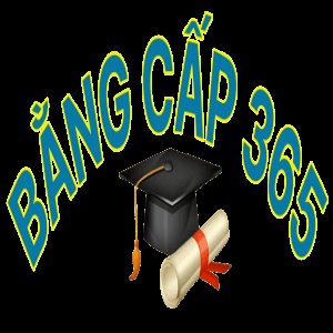 user's profile picture