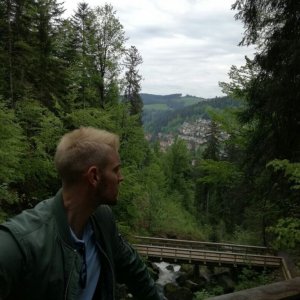 user's profile picture