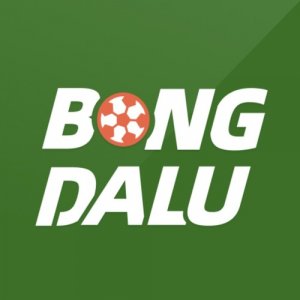 user's profile picture