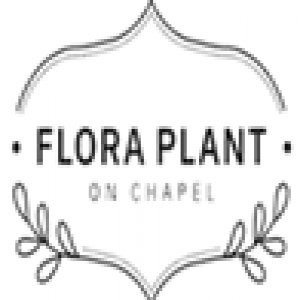 Flora Plant On Chapel