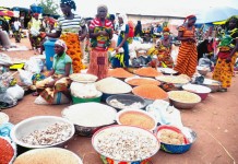 Will reducing civil servants’ working days boost food production?