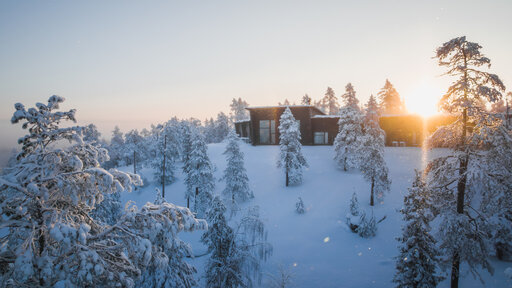 Luxury Action nimitti<br />
uuden hallituksen<br />
ja toimitusjohtajan