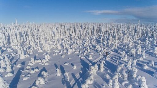 Matkailualalla on paljon hyödyntämätöntä innovaatiopotentiaalia. (Kuva: Mika Viitanen / Visit Finland)