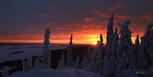 Talvinen kansallismaisema antaa aavistuksen Pohjolan kaamoksesta.
 
 