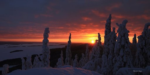 VisitKarelia vaihtaa<br />
toimitusjohtajaa